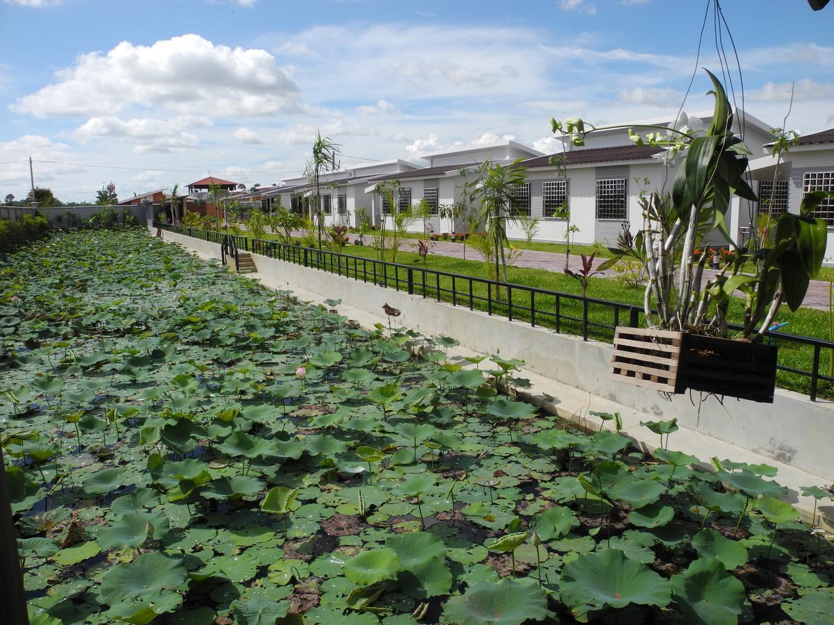 Ry'S Lotus Resort D'Angkor Siem Reap Eksteriør billede